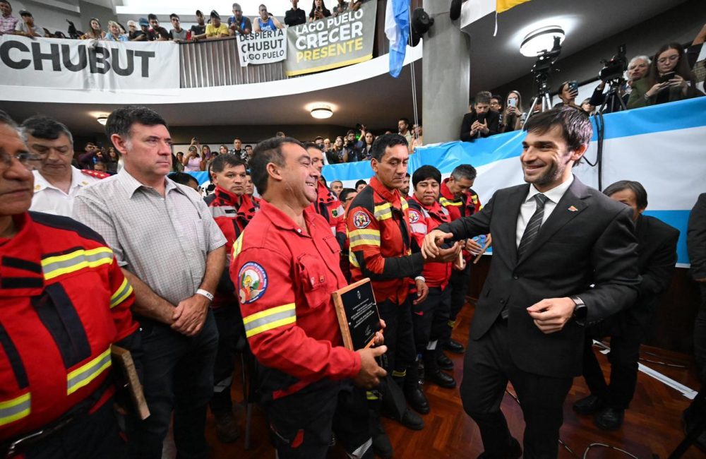 brigadistas reconocimiento