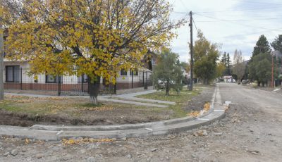 calle fleming