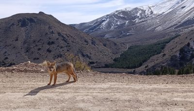 camino a la hoya (5)