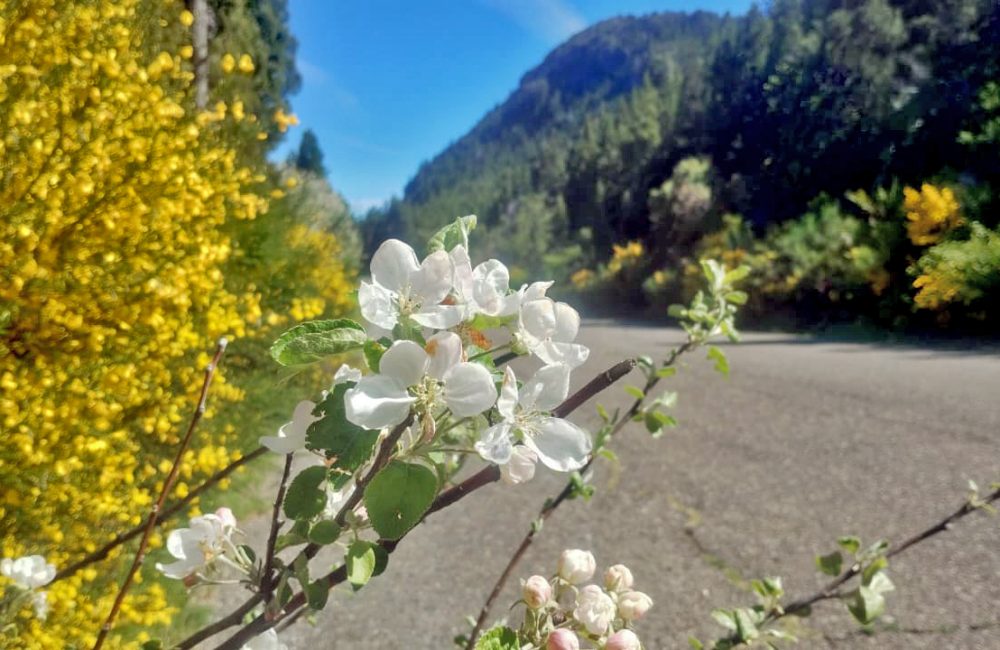 caminos de la presa (1)