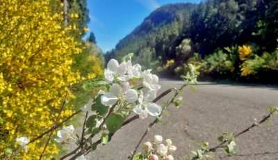 caminos de la presa (1)