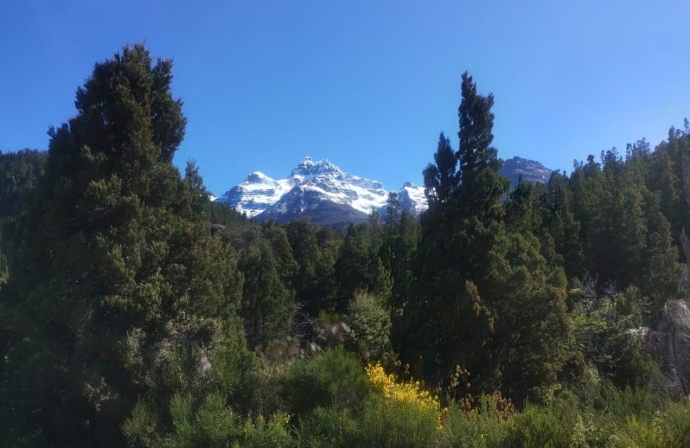 caminos de la presa (2)