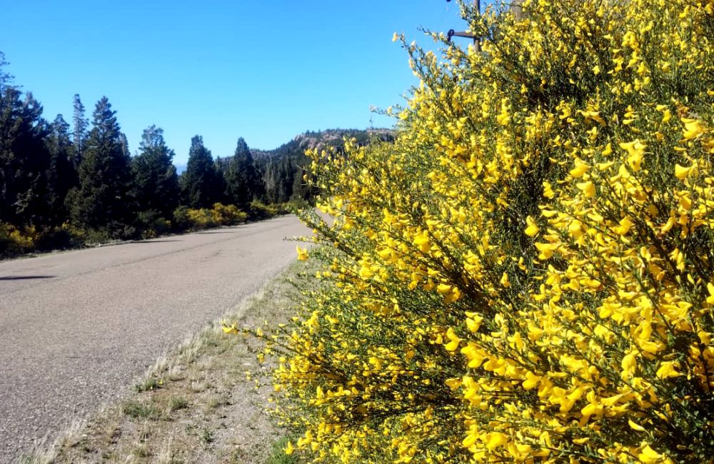 caminos de la presa (5)