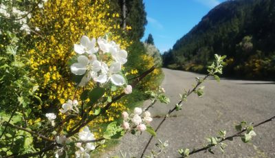 caminos de la presa (6)