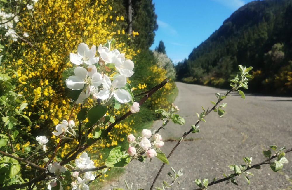caminos de la presa (6)