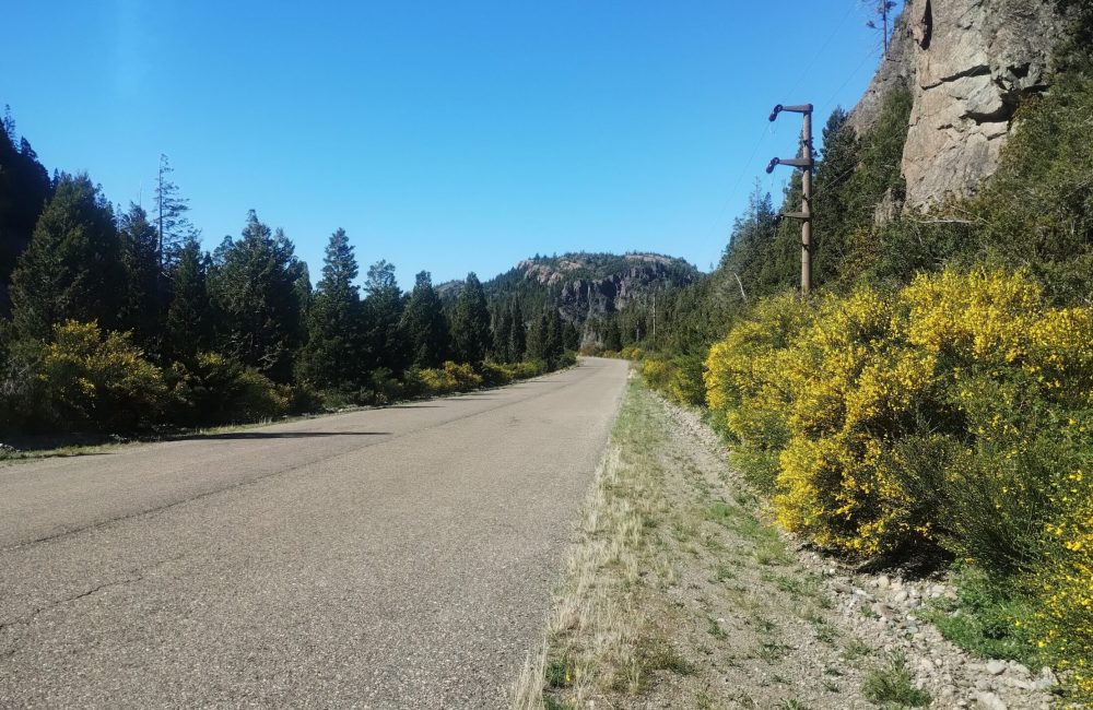 caminos de la presa (7)