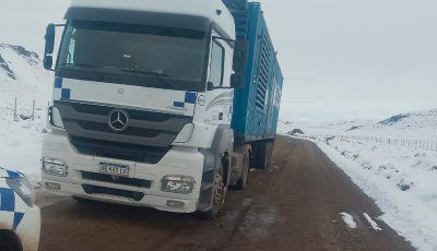 camion ruta 17 corcovado.jpeg