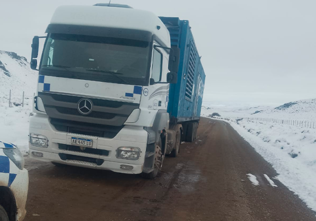 camion ruta 17 corcovado.jpeg