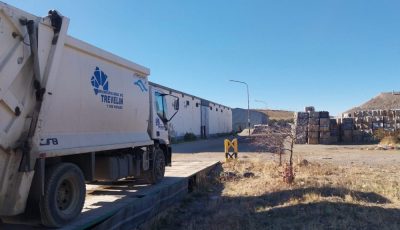 camionn trevelin planta
