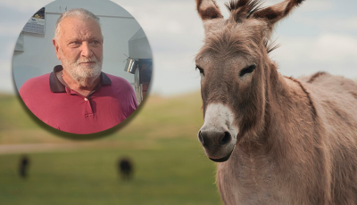 carne de burro portada