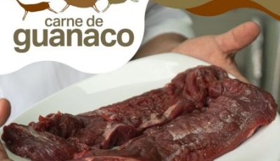 carne de guanaco