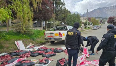 carne de guanaco y puma