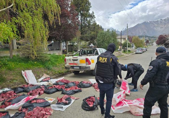 carne de guanaco y puma