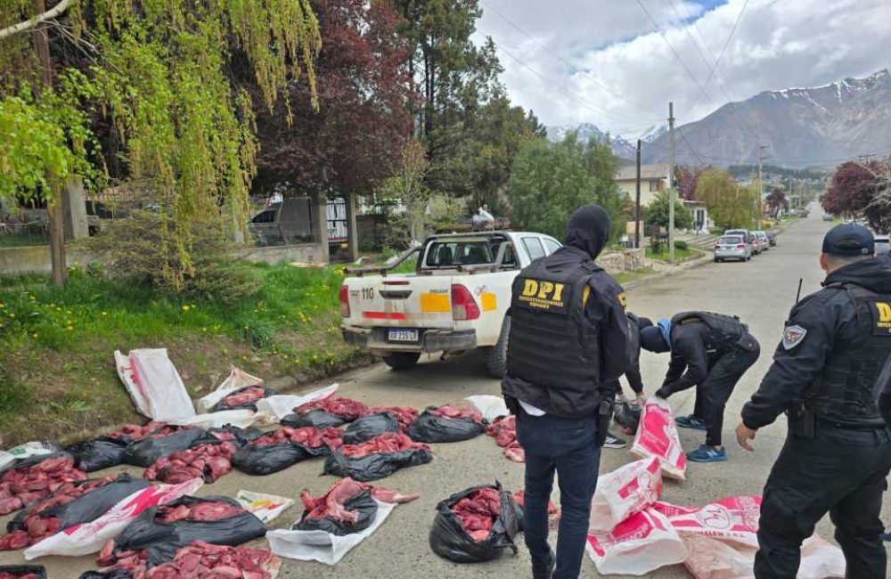 carne de guanaco y puma