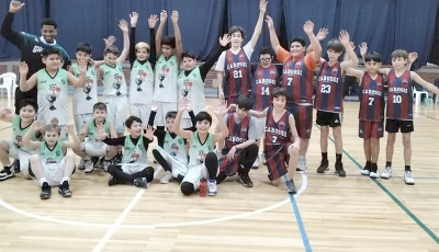carossi basquet portada