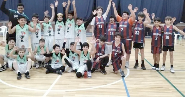 carossi basquet portada
