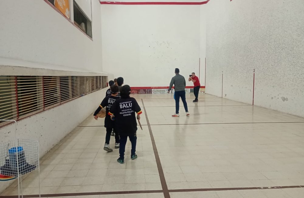 clinica pelota paleta 2