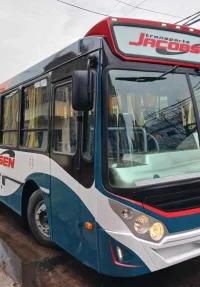 colectivo 3