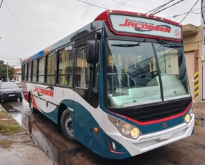 colectivo 3