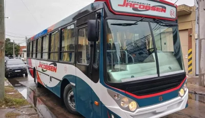 colectivo 3