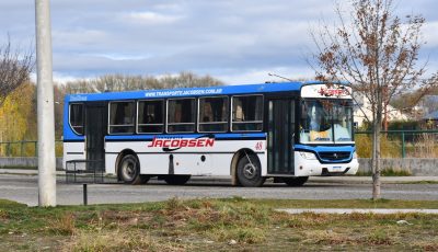 colectivo 4