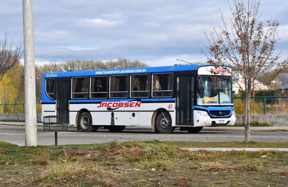 colectivo 4