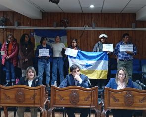 comunidad nahuelpan en hcd 1
