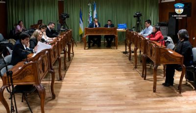 concejo esquel 6