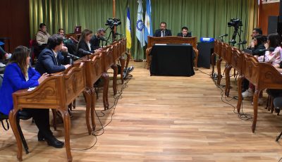concejo esquel 7