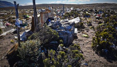 contaminacion planta