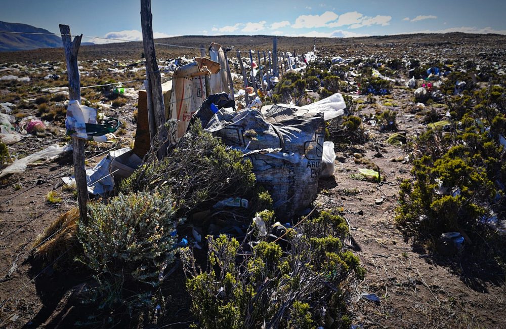 contaminacion planta