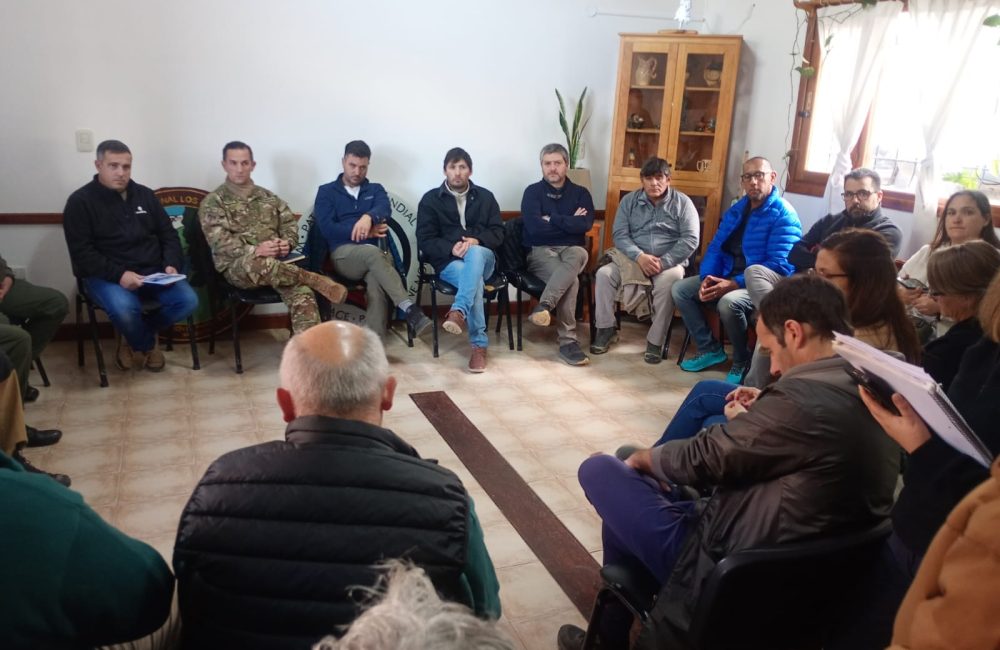 coordinacion rutas