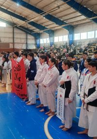 copa karate 3
