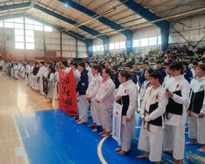 copa karate 3