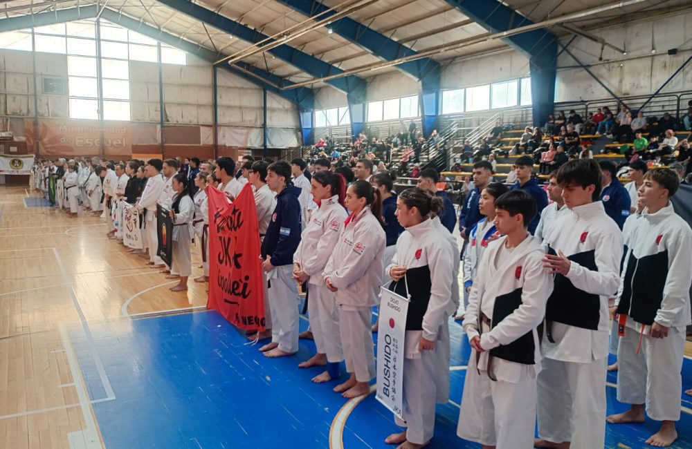 copa karate 3