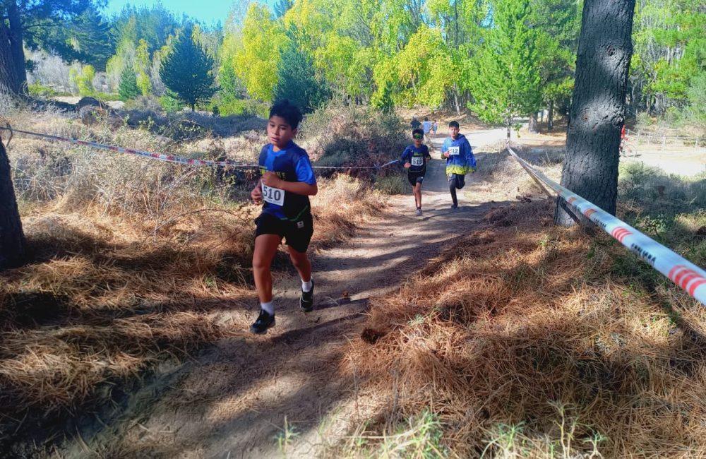 cross laguna la zeta 01