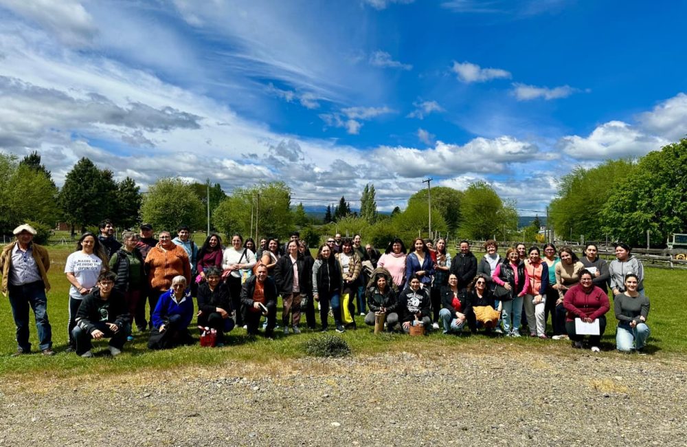 curso bromatologia trevelin