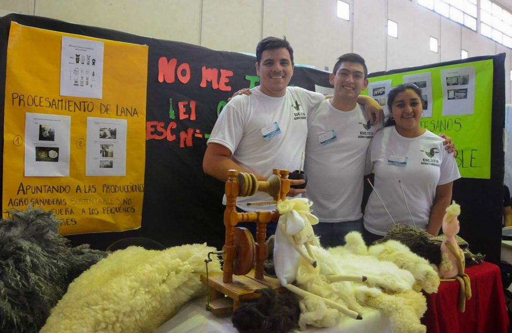 desarrollo emprendedor