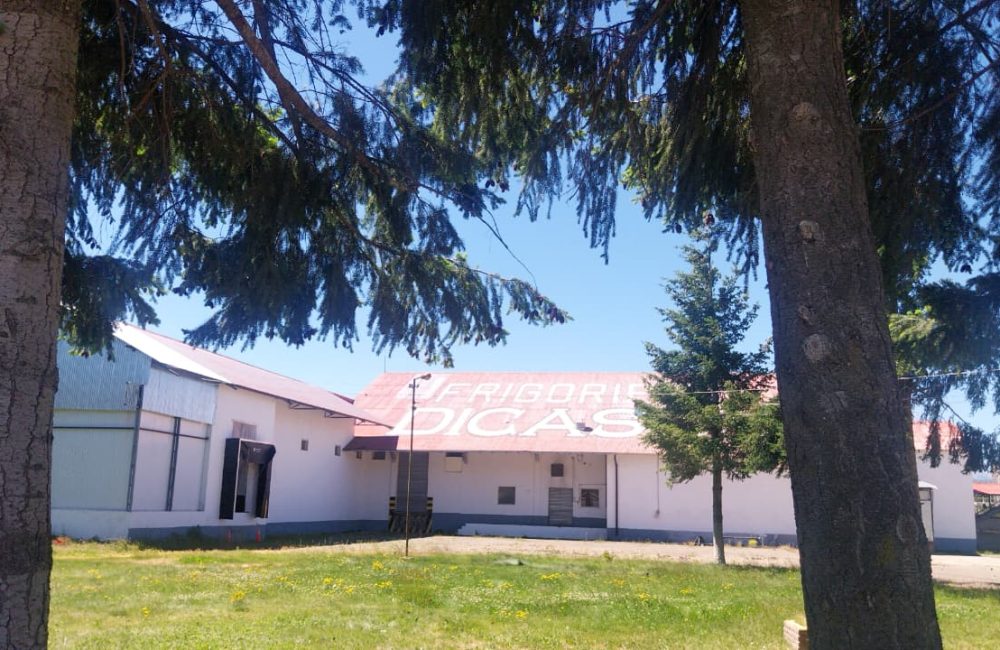 dicasur 4-12-25 foto canal 4 esquel 05