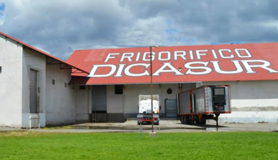 dicasur-edificio-