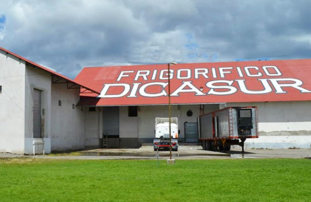 dicasur-edificio-