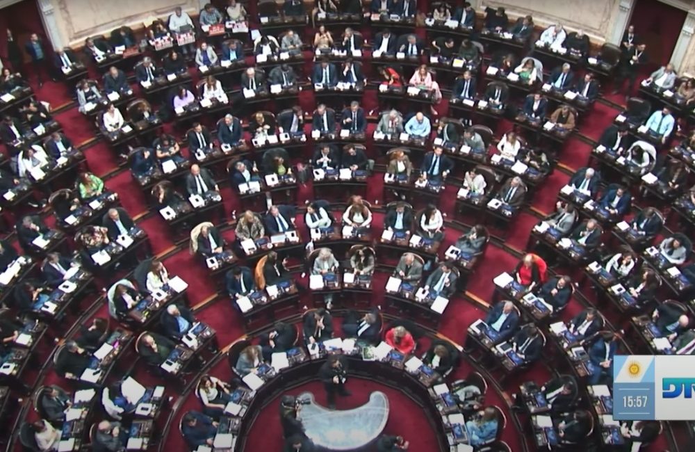 diputados discapacidad