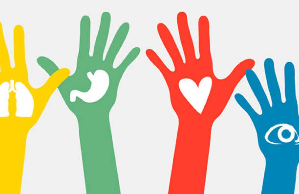 donacion del organos