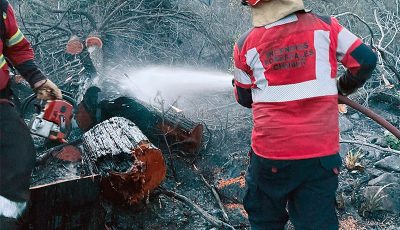 el pedregoso nov 25 1