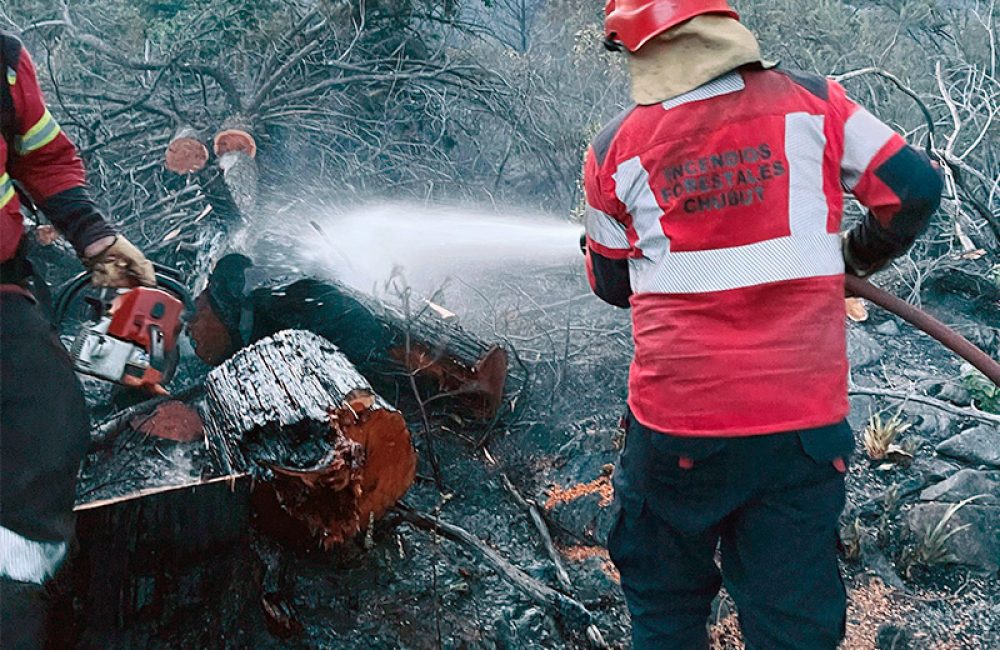 el pedregoso nov 25 1