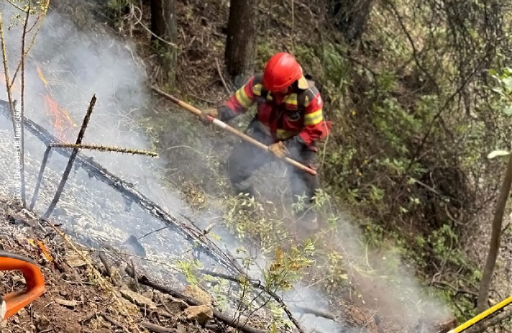 el pedregoso nov 25 4