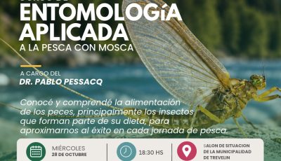 entemologia