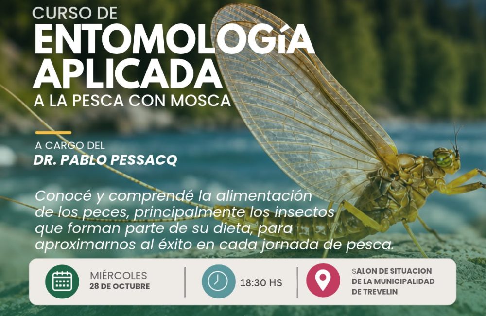 entemologia