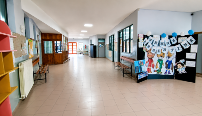 escuela 713