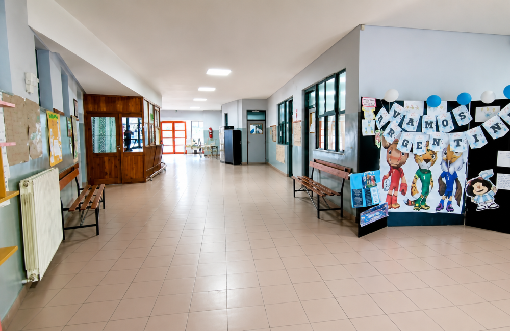 escuela 713